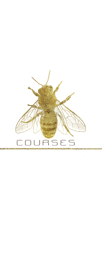 Courses